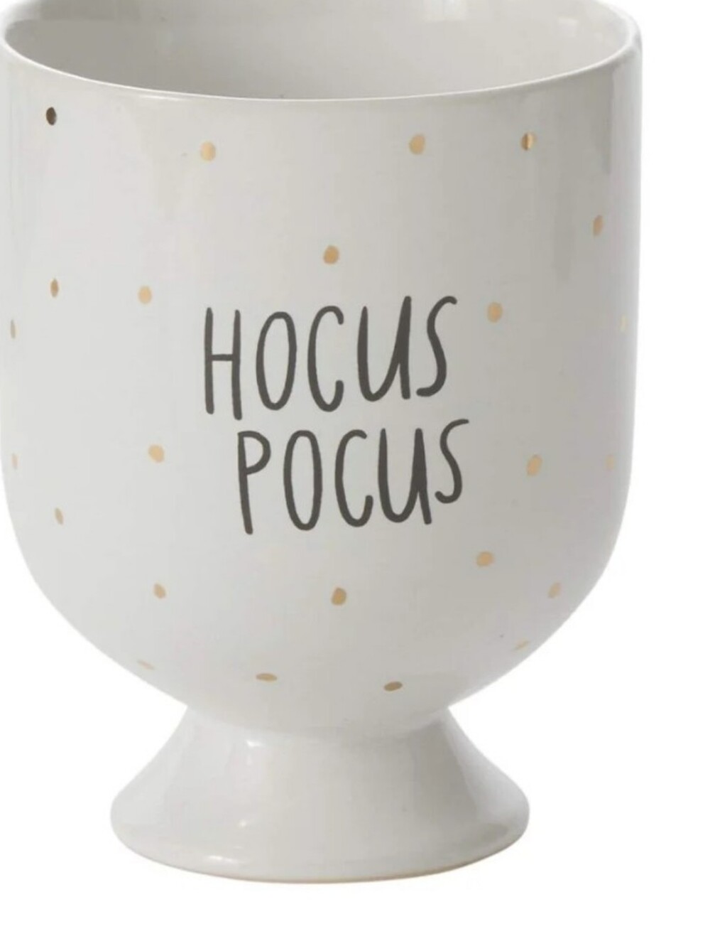 Hocus Pocus - Fearful Phrases Planter 6 In New